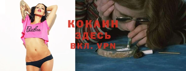 spice Осинники