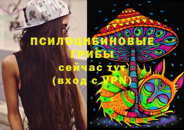 apvp Нягань