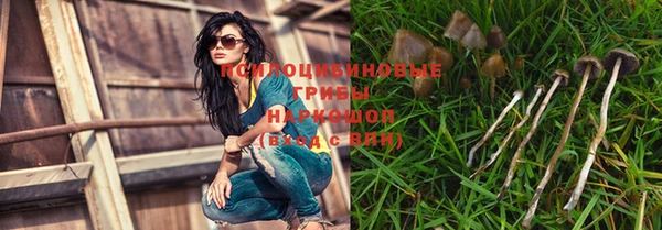 spice Осинники