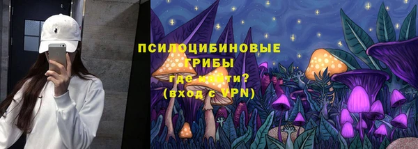 эйфоретик Няндома
