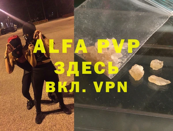 эйфоретик Няндома