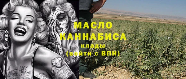 эйфоретик Няндома