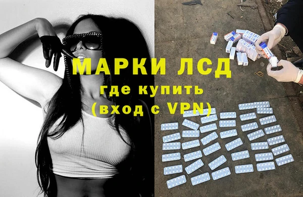 эйфоретик Няндома