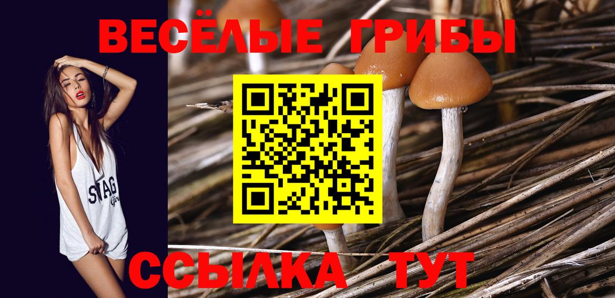Галлюциногенные грибы мицелий Иркутск