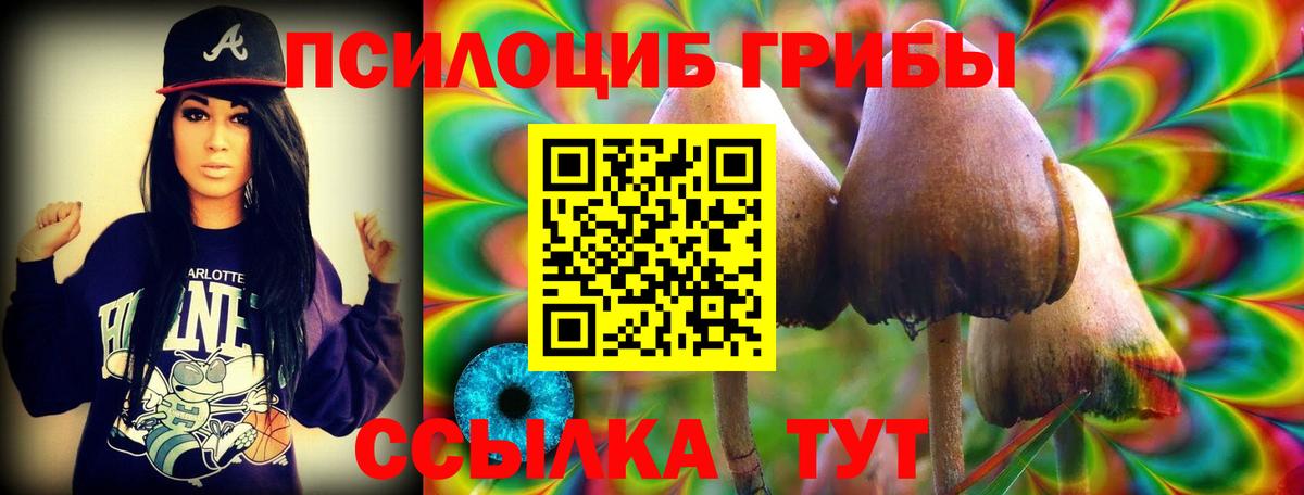 Галлюциногенные грибы Psilocybe  Галлюциногенные грибы мухоморы  Иркутск 