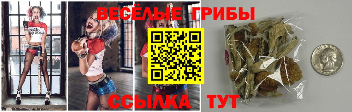Иркутск  купить   Вход с VPN  Галлюциногенные грибы MAGIC MUSHROOMS 