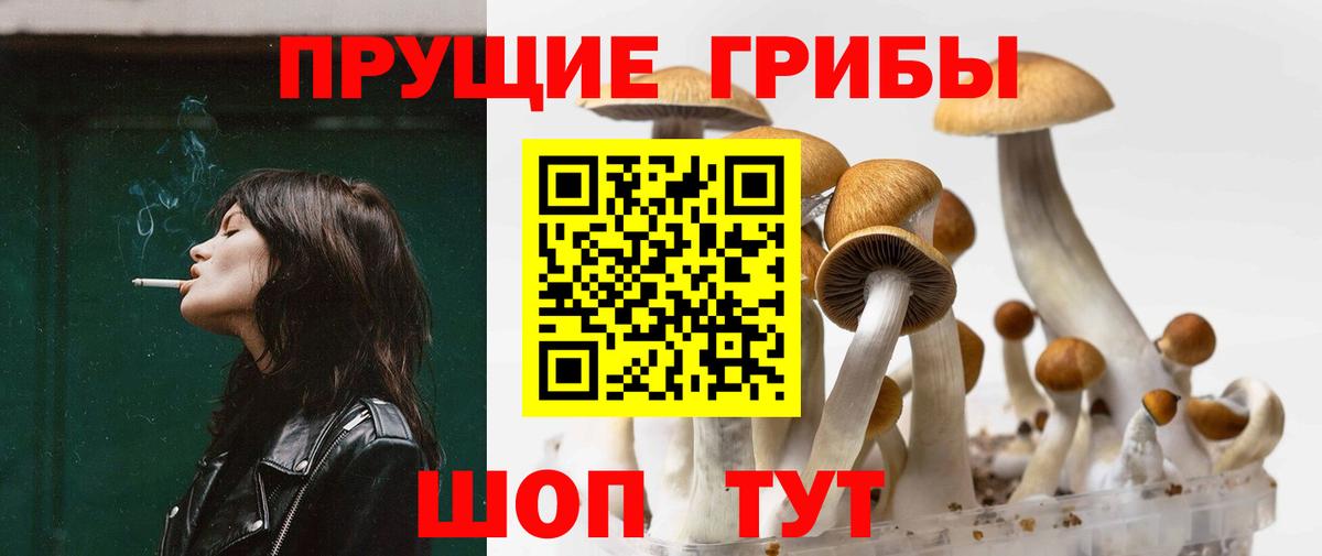 Псилоцибиновые грибы ЛСД Иркутск
